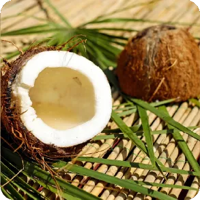 Cardamom