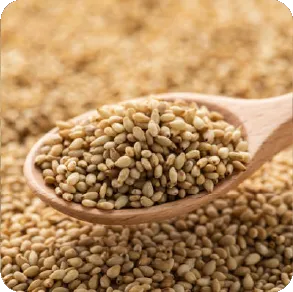 Cloves