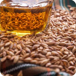 Rye