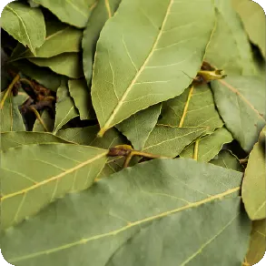 Cloves